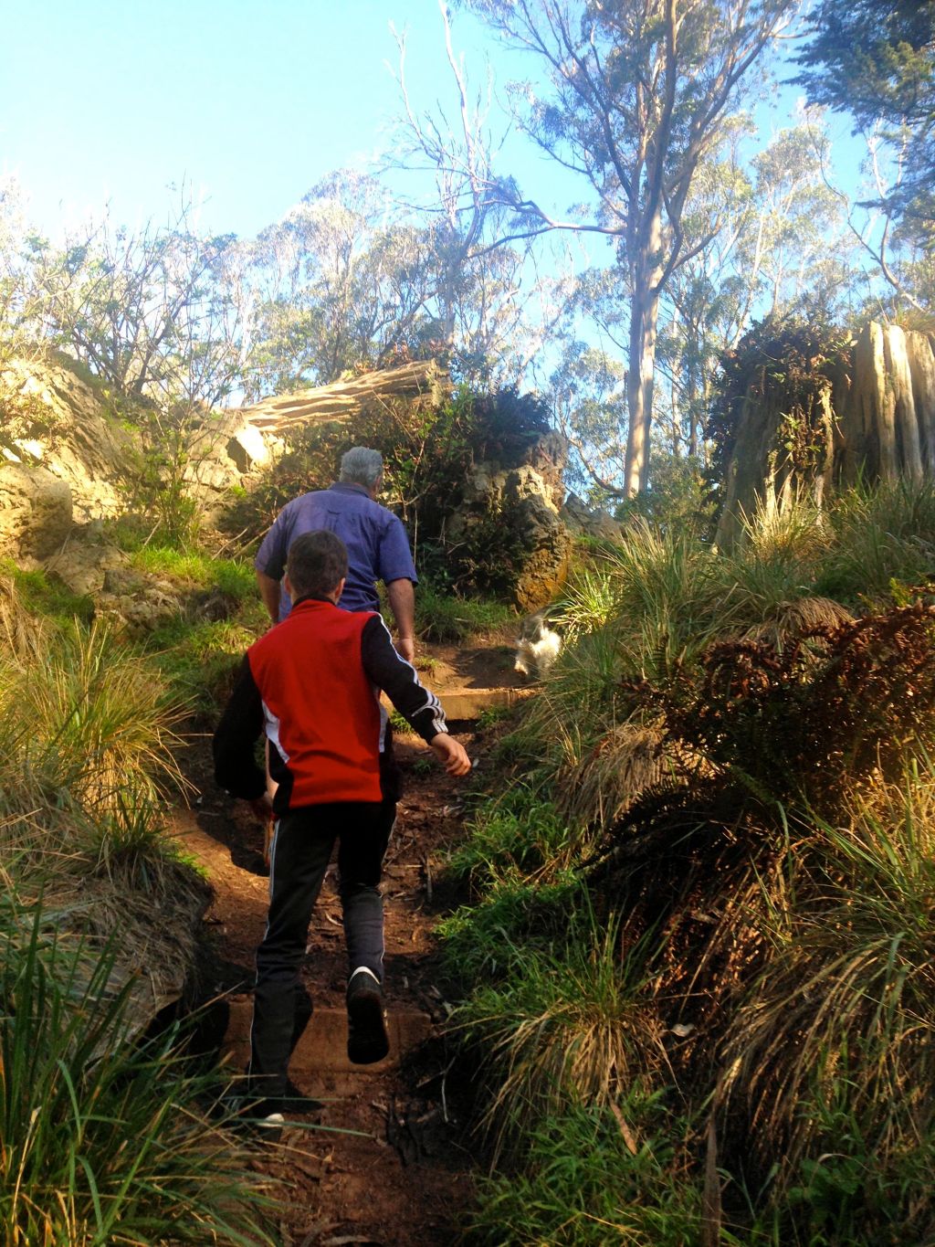 Hike to Your Happy&nbsp;Place